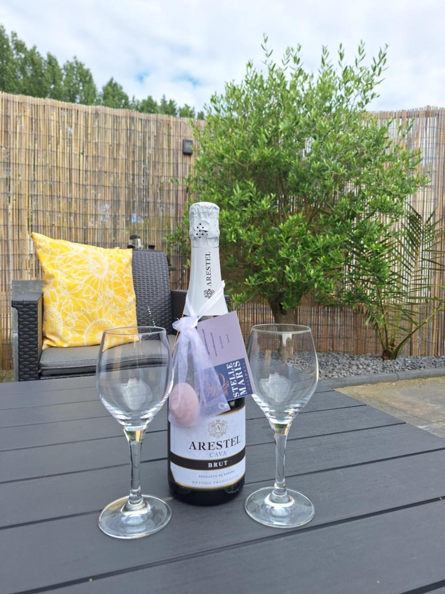 Stelle Maris, Nice Place In Heinkenszand, 2 Bedrooms, Outdoor Swimming Pool, Wifi Smart Tv And Privacy Exteriér fotografie